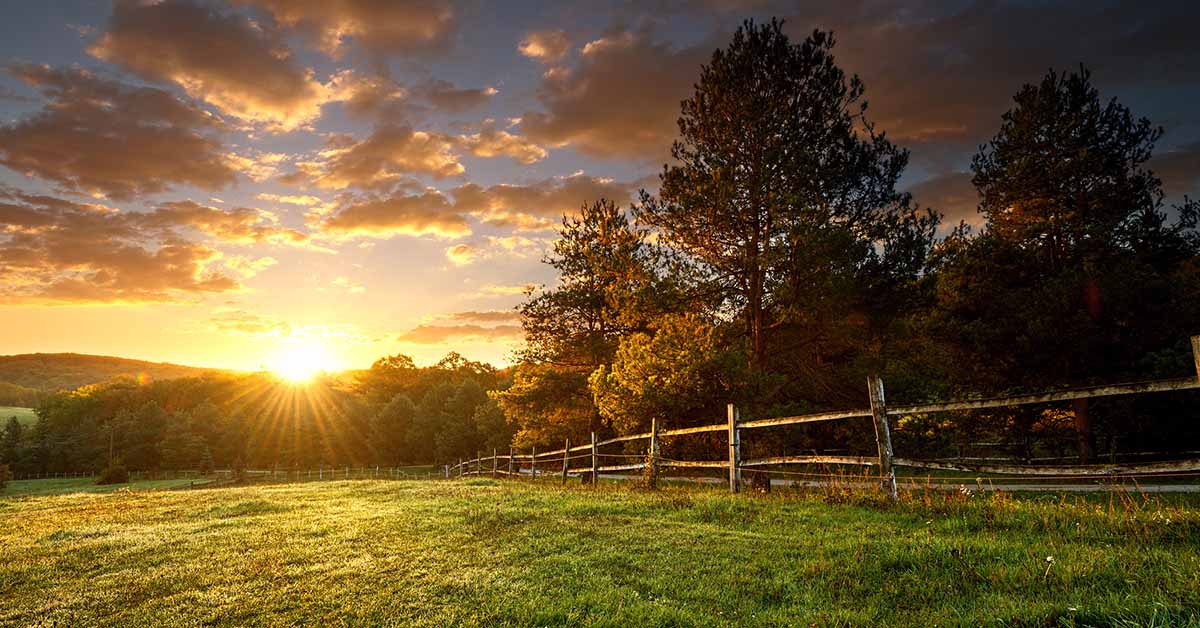 outdoor pasture